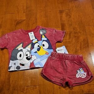 Nwt Toddler Girl Bluey Shortset